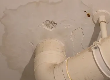 嘉荫卫生间测漏水多少钱