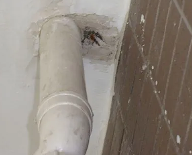 嘉荫漏水检测哪家好